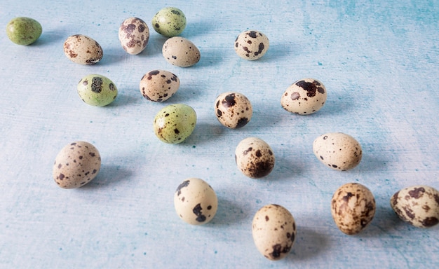 Photo gratuite oeufs de caille de pâques saisonniers vue haute