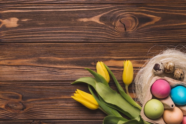 Oeufs colorés près de tulipes et nid