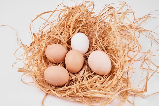 Oeufs crus dans un nid d'oiseau sur une surface blanche.