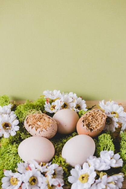 Oeufs et fleurs sur le vert