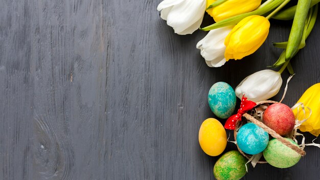 Oeufs mignons et tulipes sur fond gris