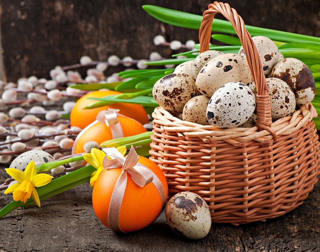 Oeufs de Pâques colorés