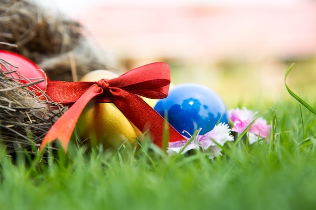 Photo gratuite les oeufs de pâques dans le nid sur l'herbe verte