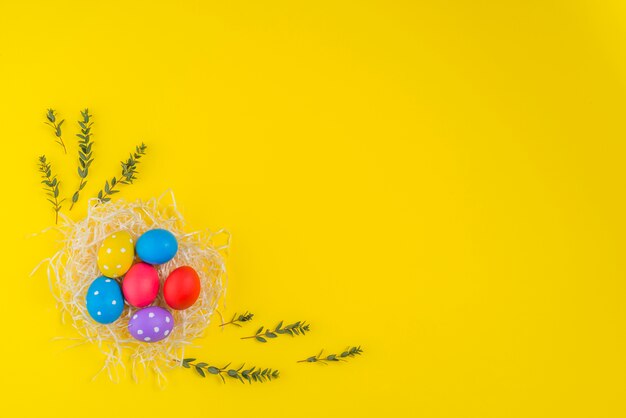 Oeufs de Pâques en nid avec des branches de plantes sur la table