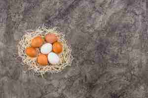 Photo gratuite Œufs de poule au nid sur la table grise