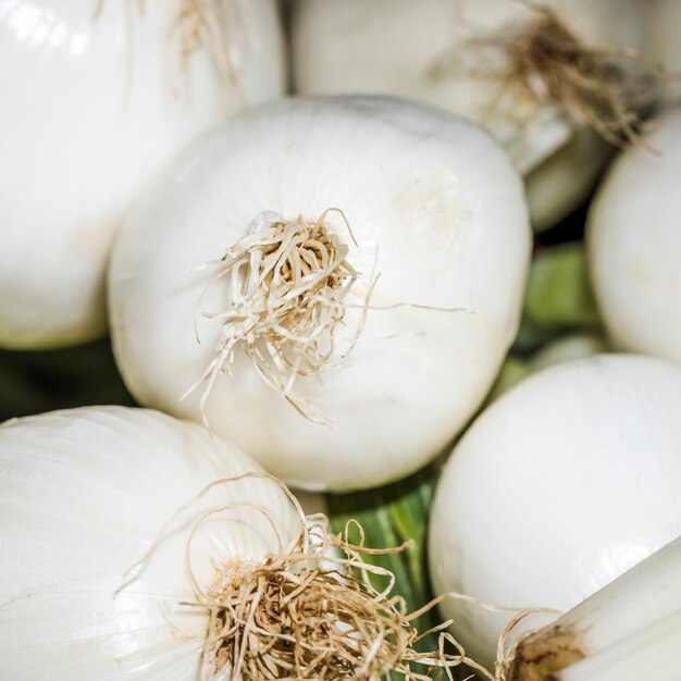 Oignons verts frais en vente sur le marché