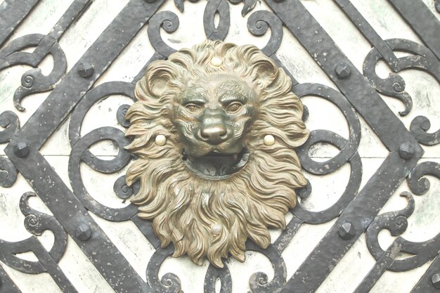 Old Head Door Lion