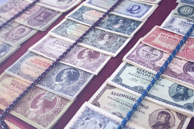 Old Money Hungarian