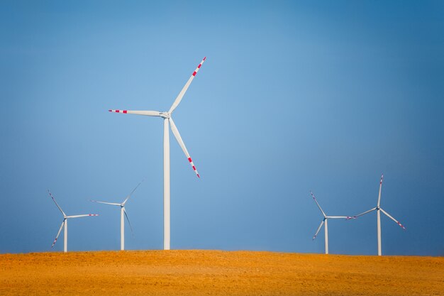 Éoliennes sur un champ