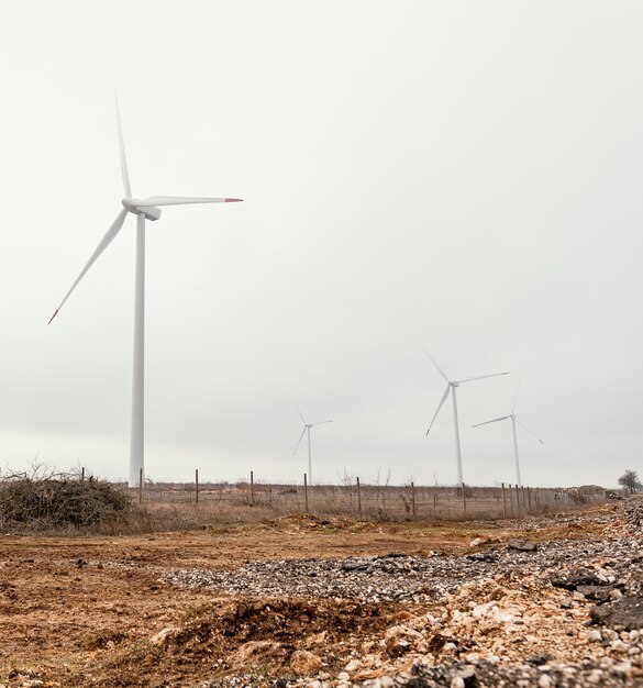 Éoliennes dans le domaine produisant de l'énergie électrique