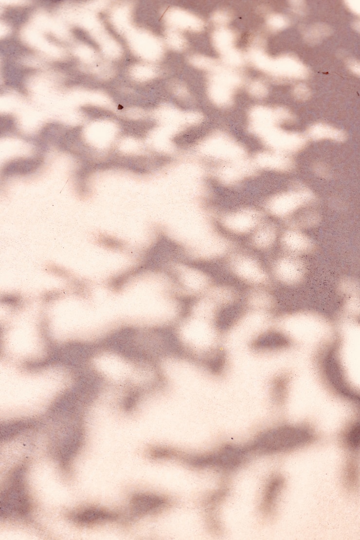 Photo gratuit ombre d'arbre au sol
