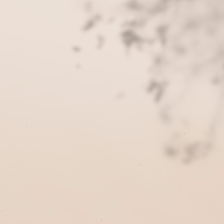 Photo gratuit ombre de feuille tropicale sur fond beige