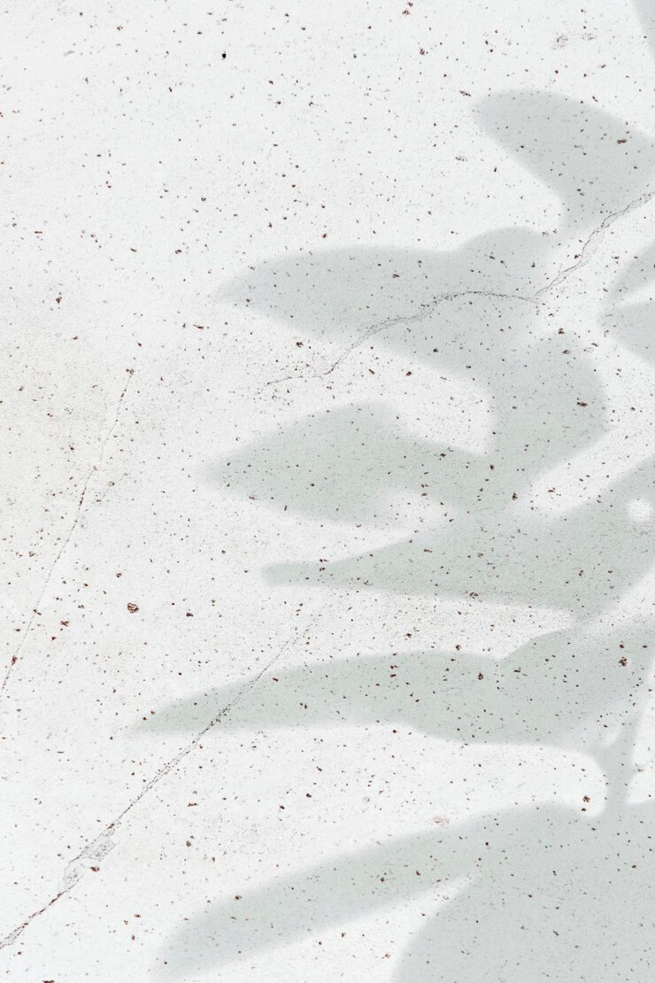 Photo gratuit ombre de feuilles sur fond blanc