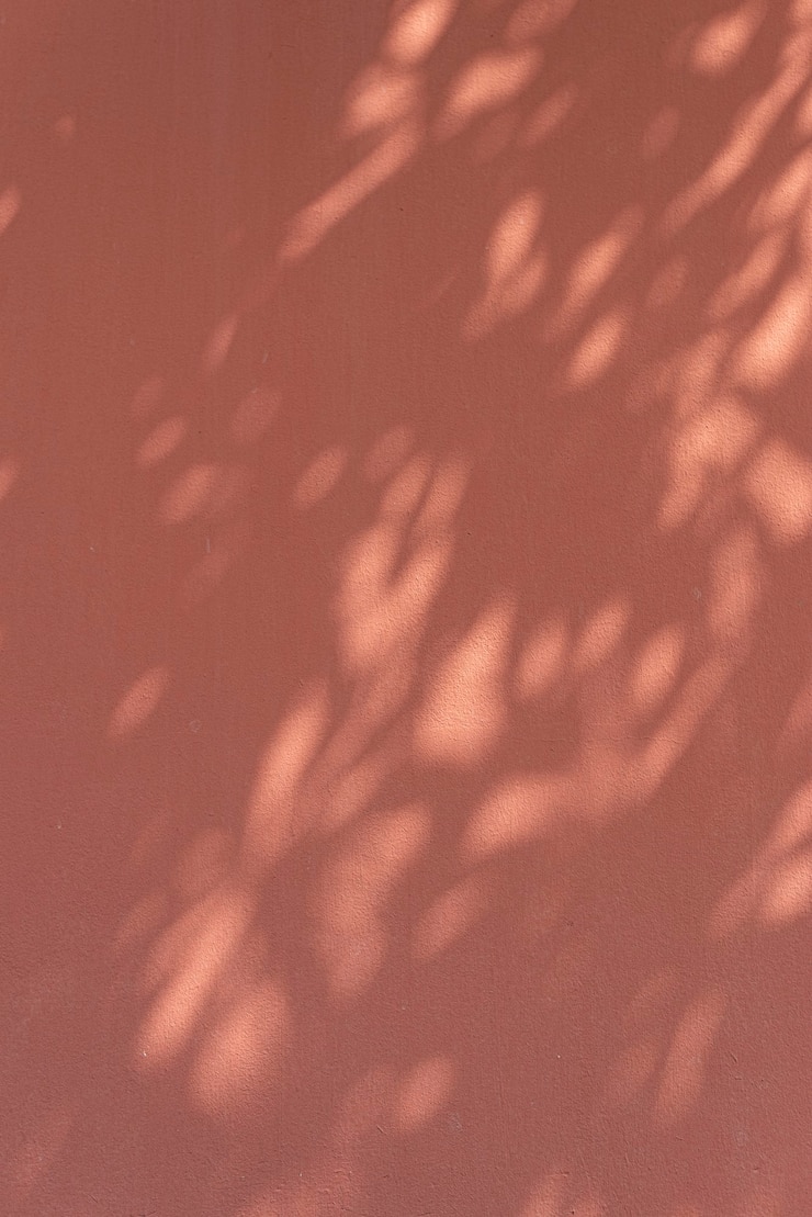 Photo gratuit ombre de feuilles sur un mur orange