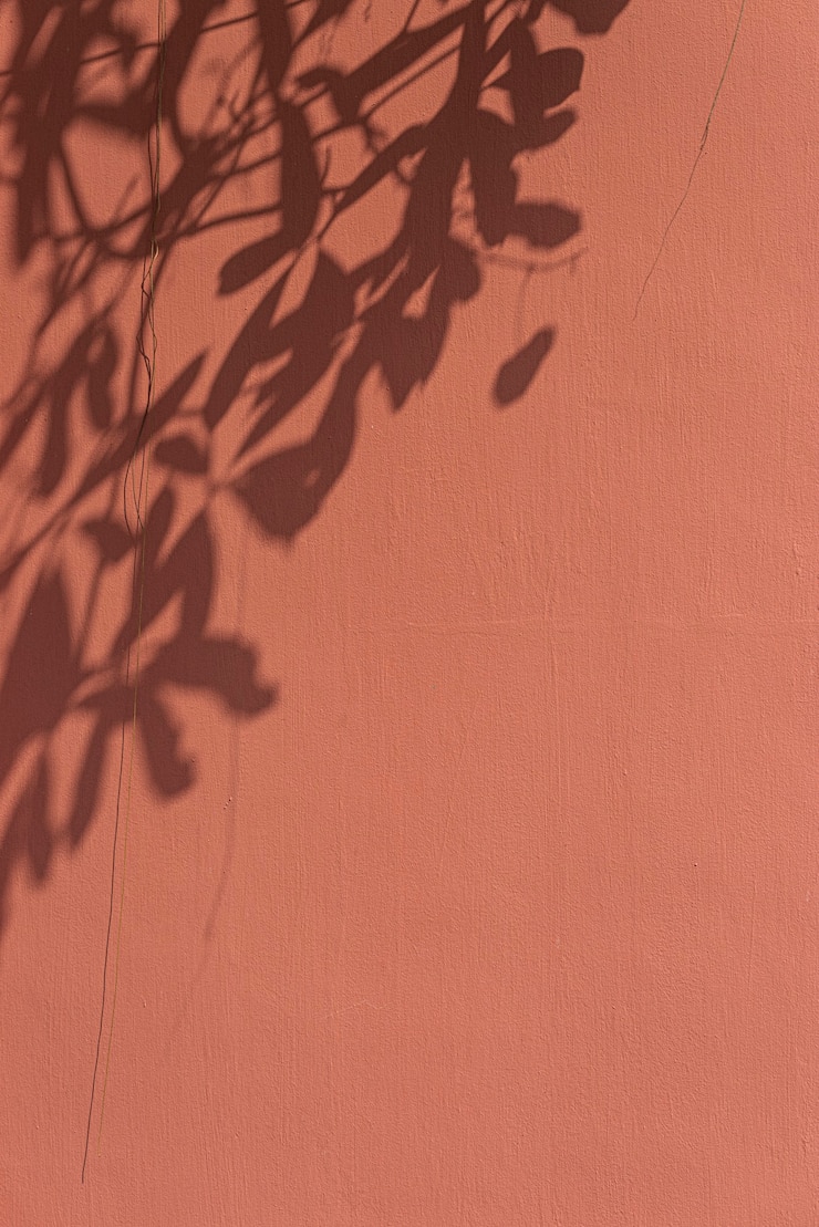 Photo gratuit ombre de feuilles sur un mur orange