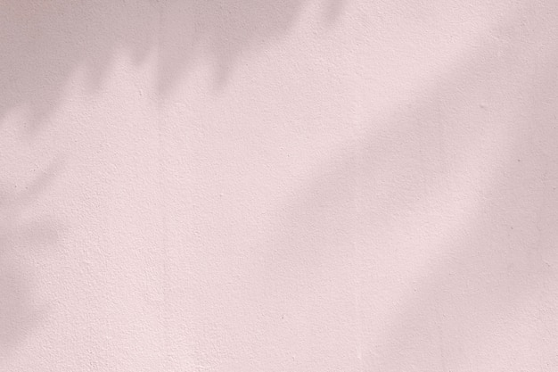 Ombre de feuilles sur un mur rose