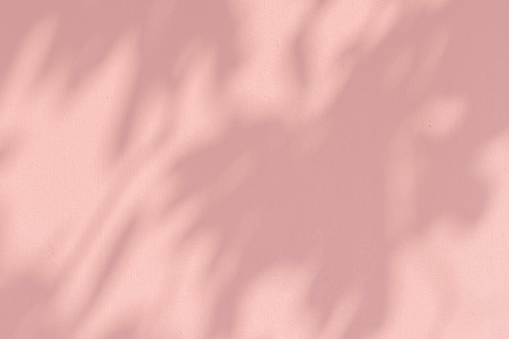 Photo gratuit ombre de feuilles sur un mur rose