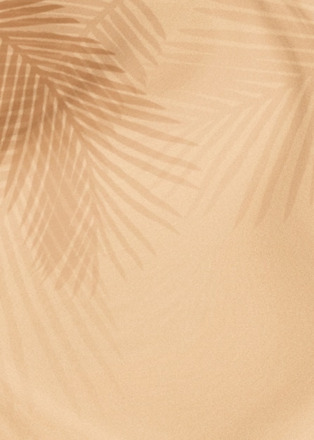 Photo gratuite ombre de feuilles de palmier sur un beige