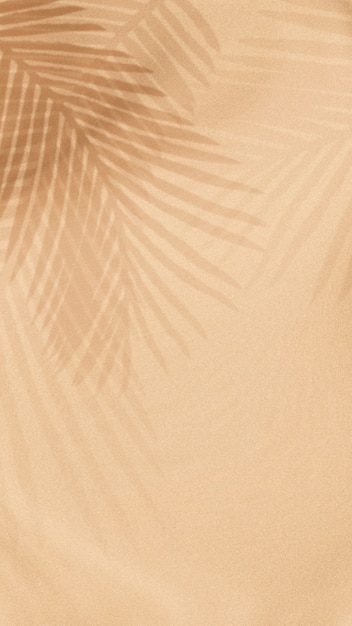 Ombre de feuilles de palmier sur fond beige