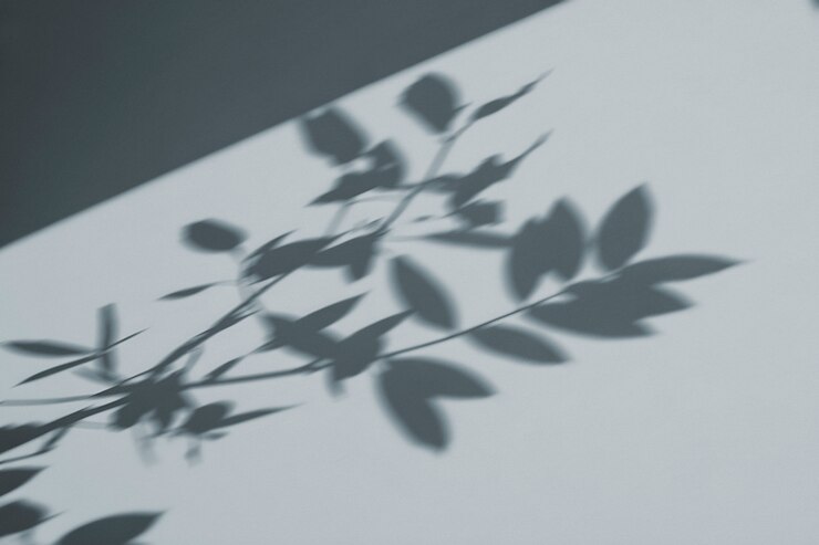 Photo gratuit l'ombre des feuilles sur une surface blanche
