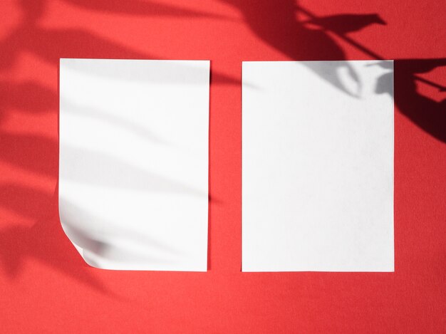 Ombres de feuilles sur fond rouge avec des couvertures blanches