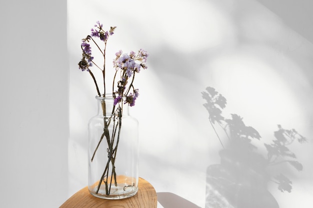 Ombres et fleurs de concept minimal abstrait