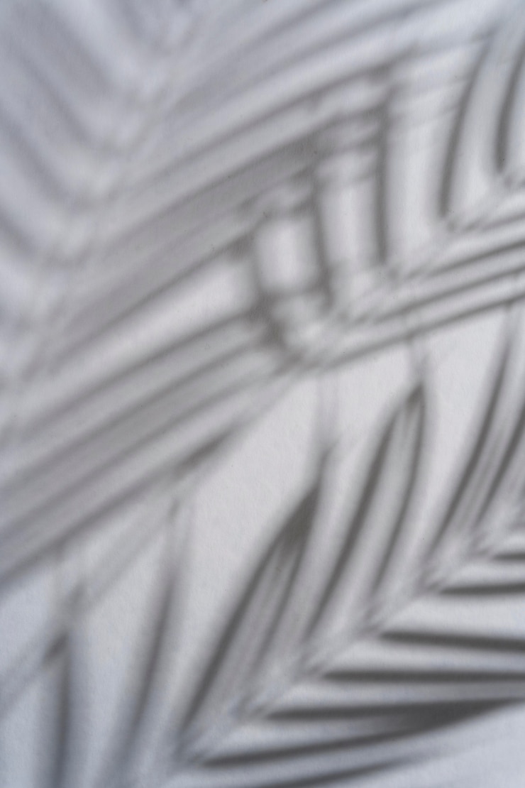 Photo gratuit les ombres naturelles et abstraites