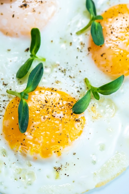 Omelette garnie d'herbes et de poivre