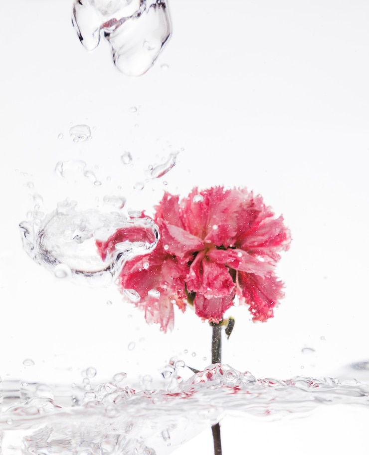 Photo gratuit l'onglet rose qui tombe dans l'eau