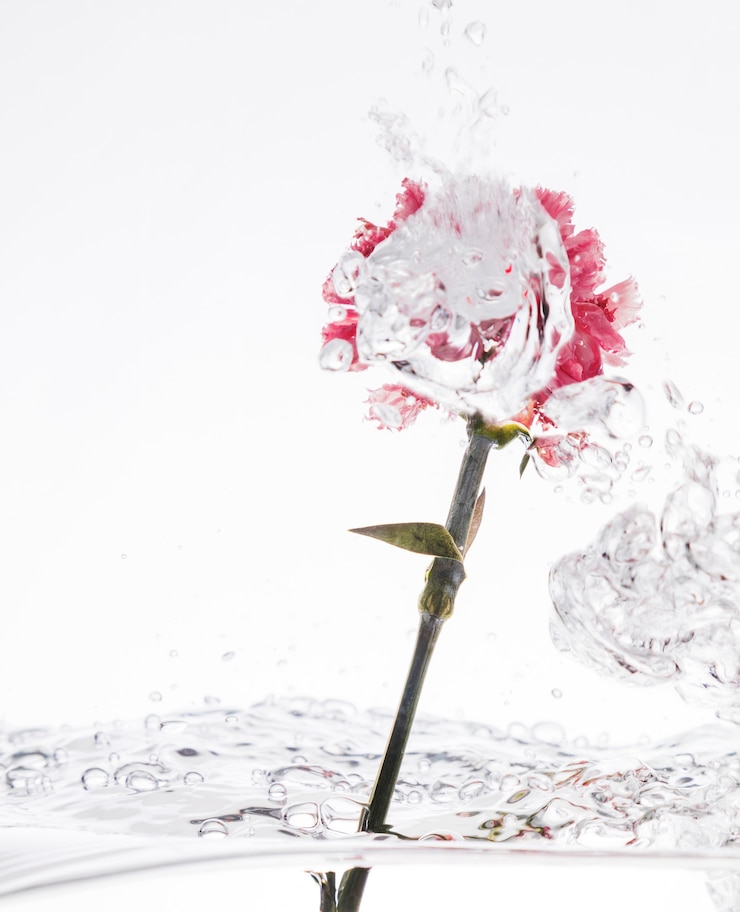 Photo gratuit l'onglet rose qui tombe dans l'eau