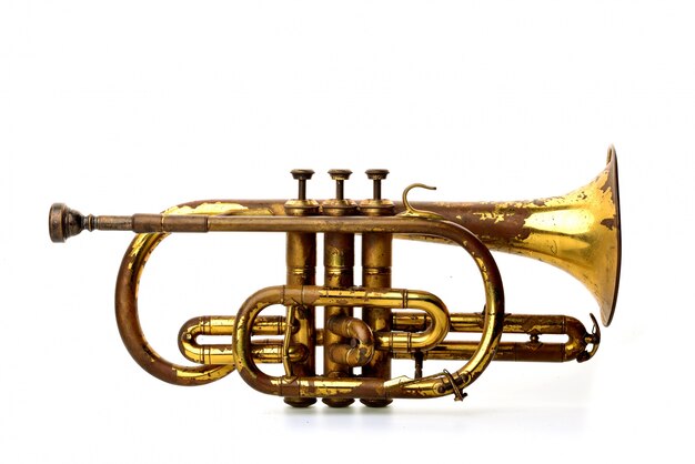 or trompette