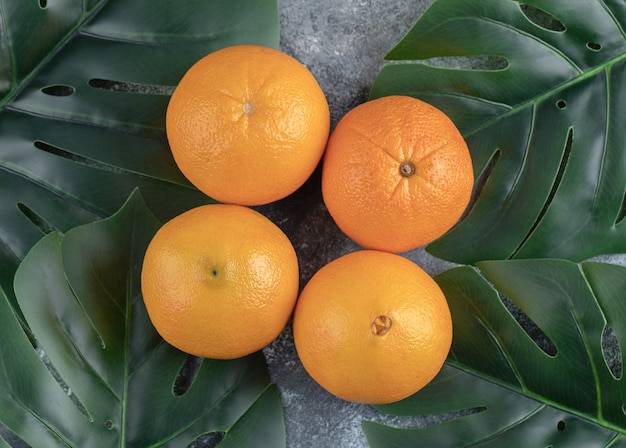 Oranges et feuilles sur table en marbre.