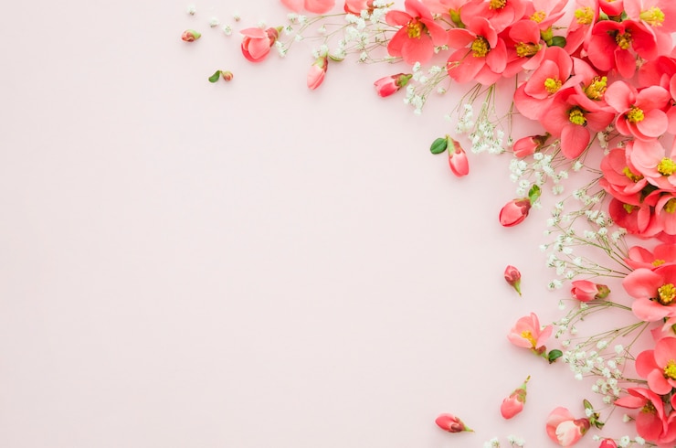 Photo gratuit ornements floraux