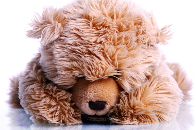 Photo gratuite ours en peluche mignon