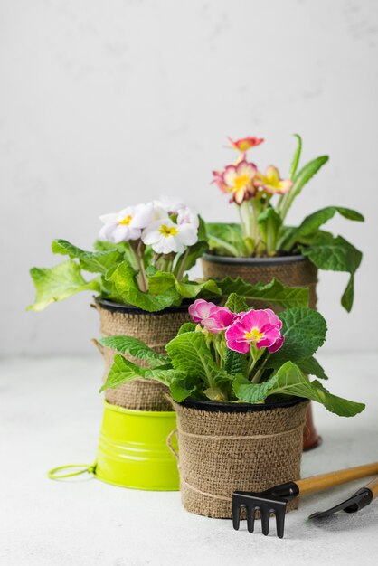Outils à angle élevé et pots de fleurs