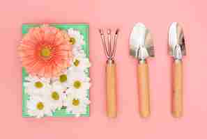 Photo gratuite outils de jardinage avec marguerites et fleurs de gerbera