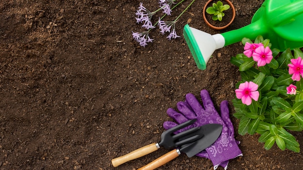 Photo gratuite outils de jardinage de plantes bouchent