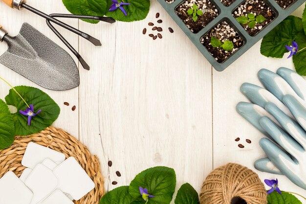 Outils de jardinage à plat et cadre de plantes avec espace copie