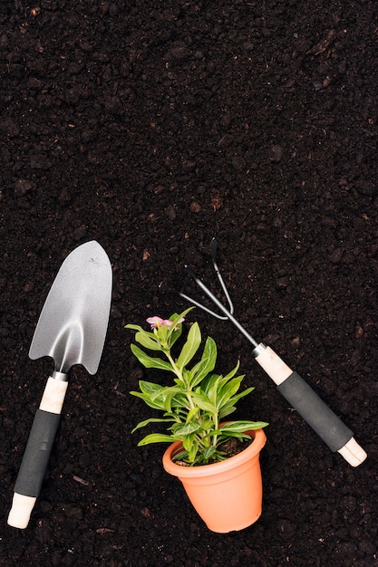 Outils de jardinage à poser avec pot de fleur