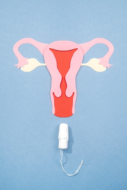 Photo gratuite ovaire de nature morte avec tampon menstruel hygiénique