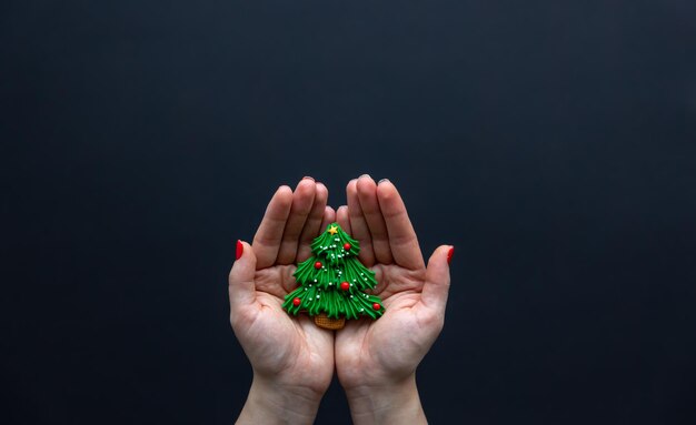 Photo gratuite pain d'épice de noël en vue de dessus de mains féminines