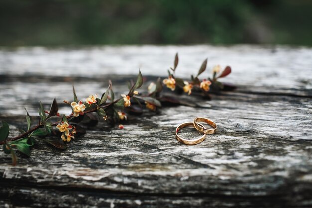 Paire d'alliances se trouvent sur une surface en bois près d'une branche de fleur