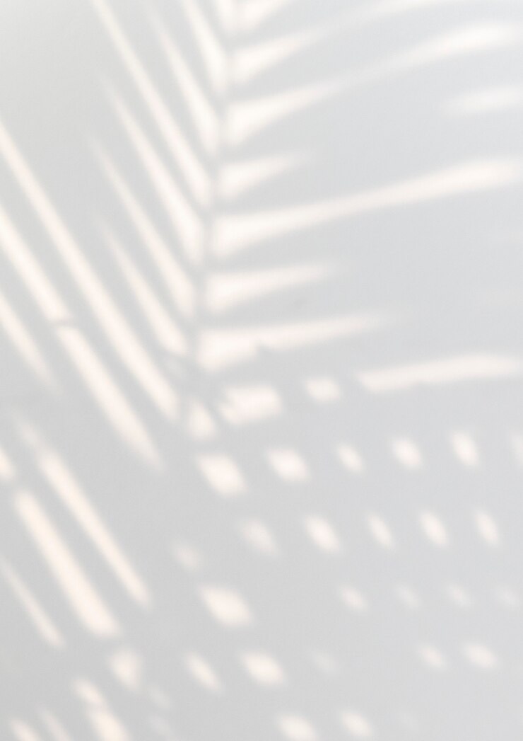 Photo gratuit palmier tropical laisse l'ombre sur un mur blanc