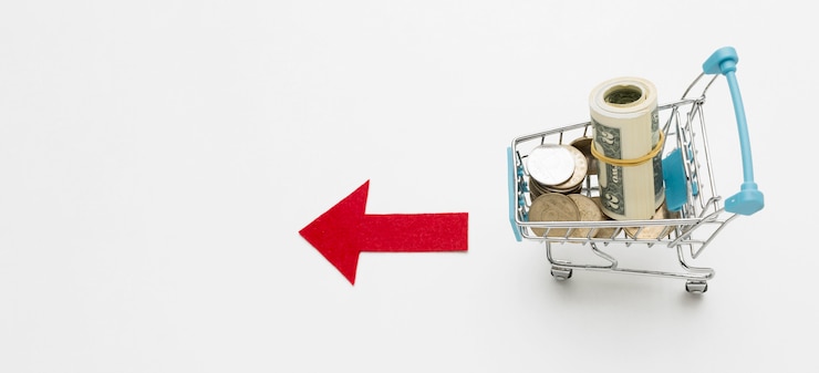 Photo gratuit panier d'achat plat avec de l'argent