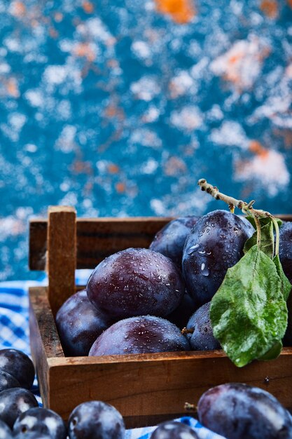 Panier en bois de prunes fraîches sur bleu.