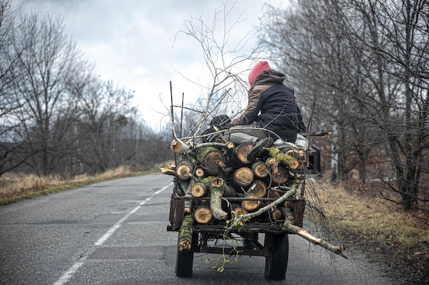 Panier avec des bûches d'arbres paysage rural vue arrière