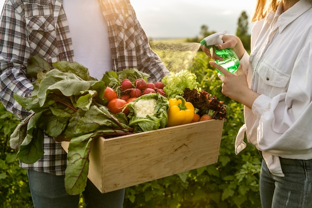 Panier de gros plan de légumes