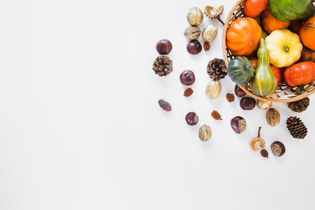 Photo gratuite panier de légumes près de chicots