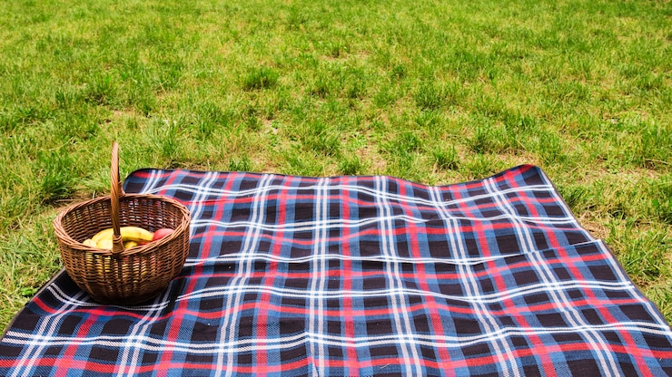 Photo gratuit panier de pique-nique sur une couverture sur l&#39;herbe verte