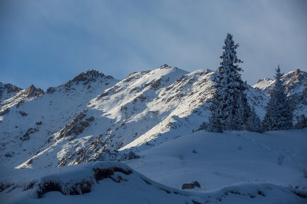 Panorama d'hiver avec cabane de ski dans la neige